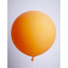 Ballon de plage gonflable diam. 41cm - Ballons et Gonflables pas cher