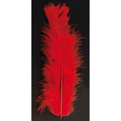 Sachet plumes ordinaires rouges Raphia - Chenilles - Plumes 3,58 €