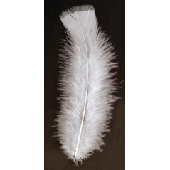 Sachet plumes blanches 12 à 15 cm Raphia - Chenilles - Plumes 3,78 €