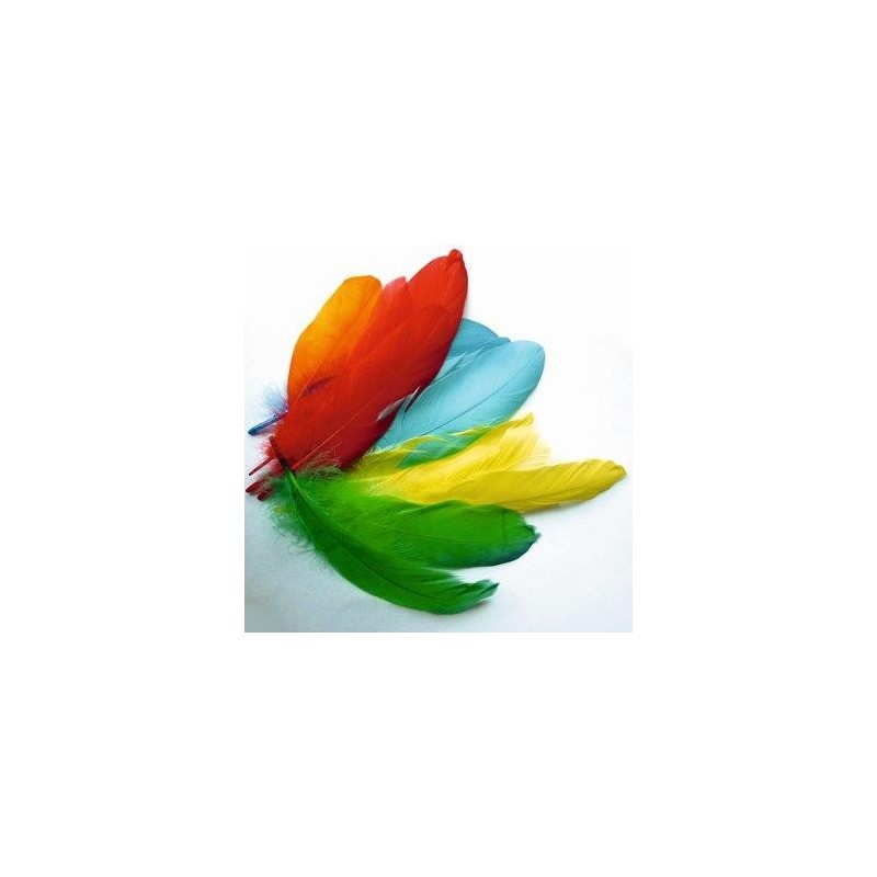 Sachet plumes oie coloris assortis Raphia - Chenilles - Plumes 3,08 €