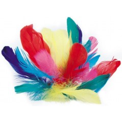 Sachet plumes Coquille d'oies coloris assorti Raphia - Chenilles - Plumes 2,93 €