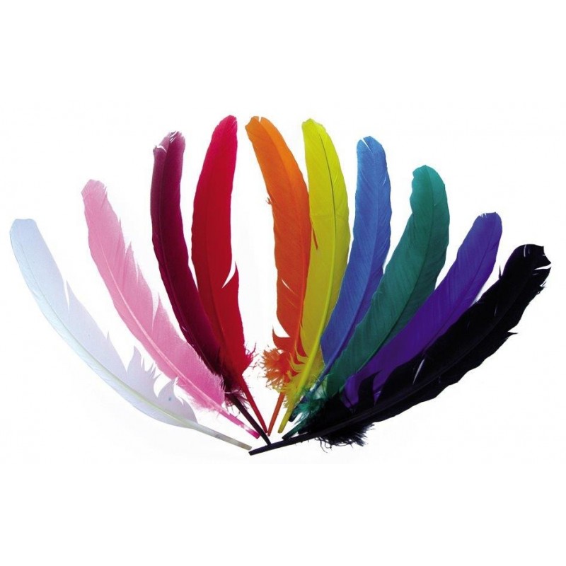 Sachet 10 plumes indien coloris assortis Raphia - Chenilles - Plumes 5,35 €