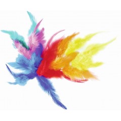 Sachet plumes collet coq coloris assortis Raphia - Chenilles - Plumes 3,39 €