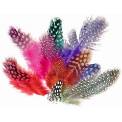 Sachet plumes pintades coloris assortis Raphia - Chenilles - Plumes 4,75 €