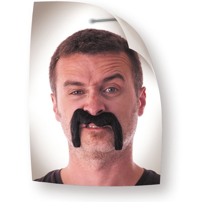 Moustache Watson noire Moustaches et Masques 0,99 €