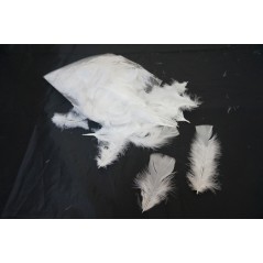 Sachet plumes blanches 12 à 15 cm Raphia - Chenilles - Plumes 3,78 €