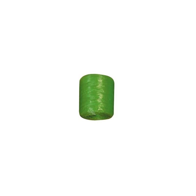 raphia synthétique vert jade Bobine 40g Raphia - Chenilles - Plumes 1,74 €